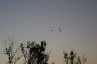trip to perth 017.JPG